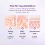 numbuzin - No.9 NAD Bio Lifting-sil Essence 50ml - Image 4