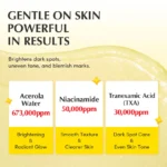EQQUALBERRY - Vitamin Illuminating Cream - Image 4