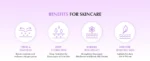 EQQUALBERRY - Bakuchiol Plumping Capsule Cream - Image 6